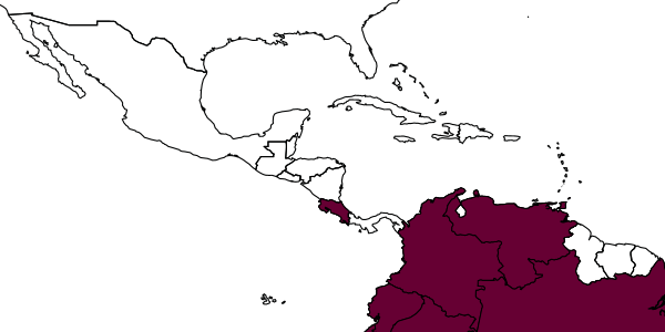 map of Lomachaeta hyphantria     Pitts & Manley, 2004